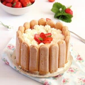 strawberry charlotte cake with ladyfingers and cream on a flowery kitchen cloth.