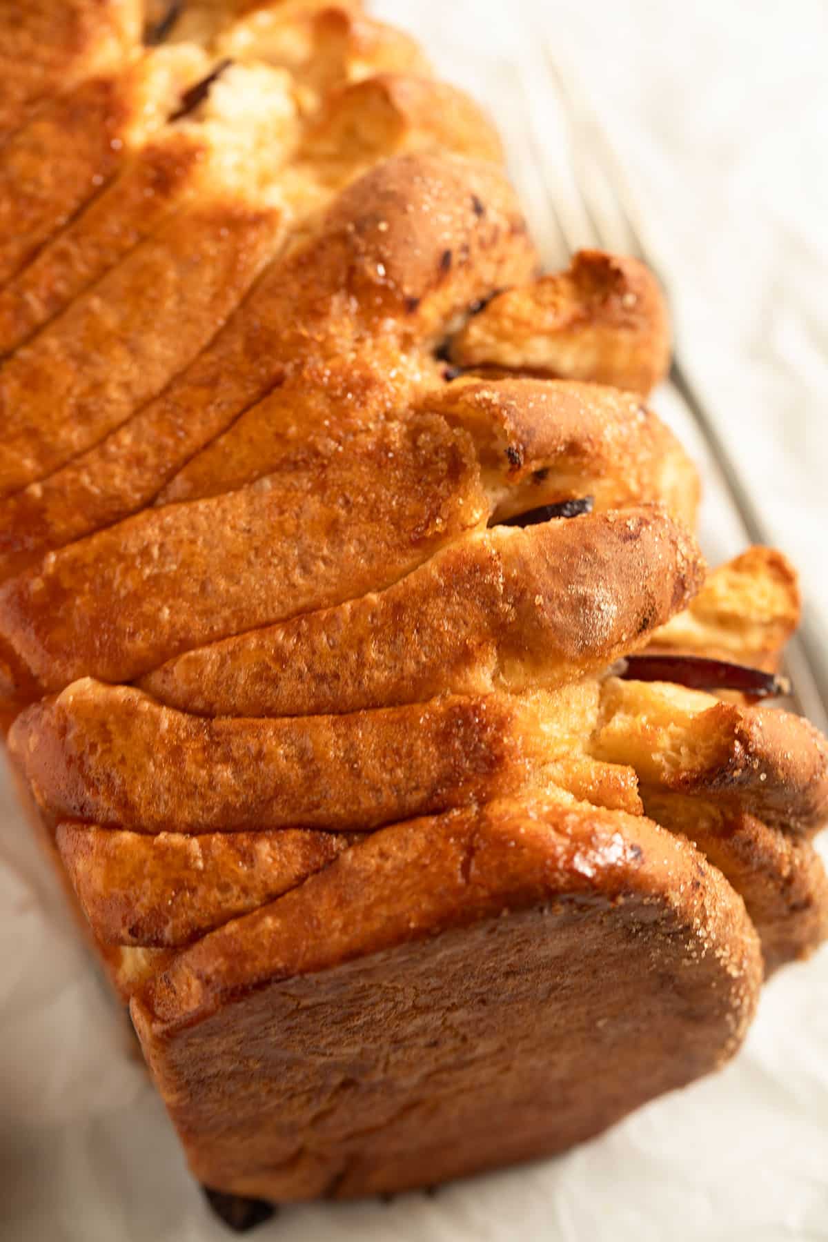 perfectly golden plum bread showing the side.