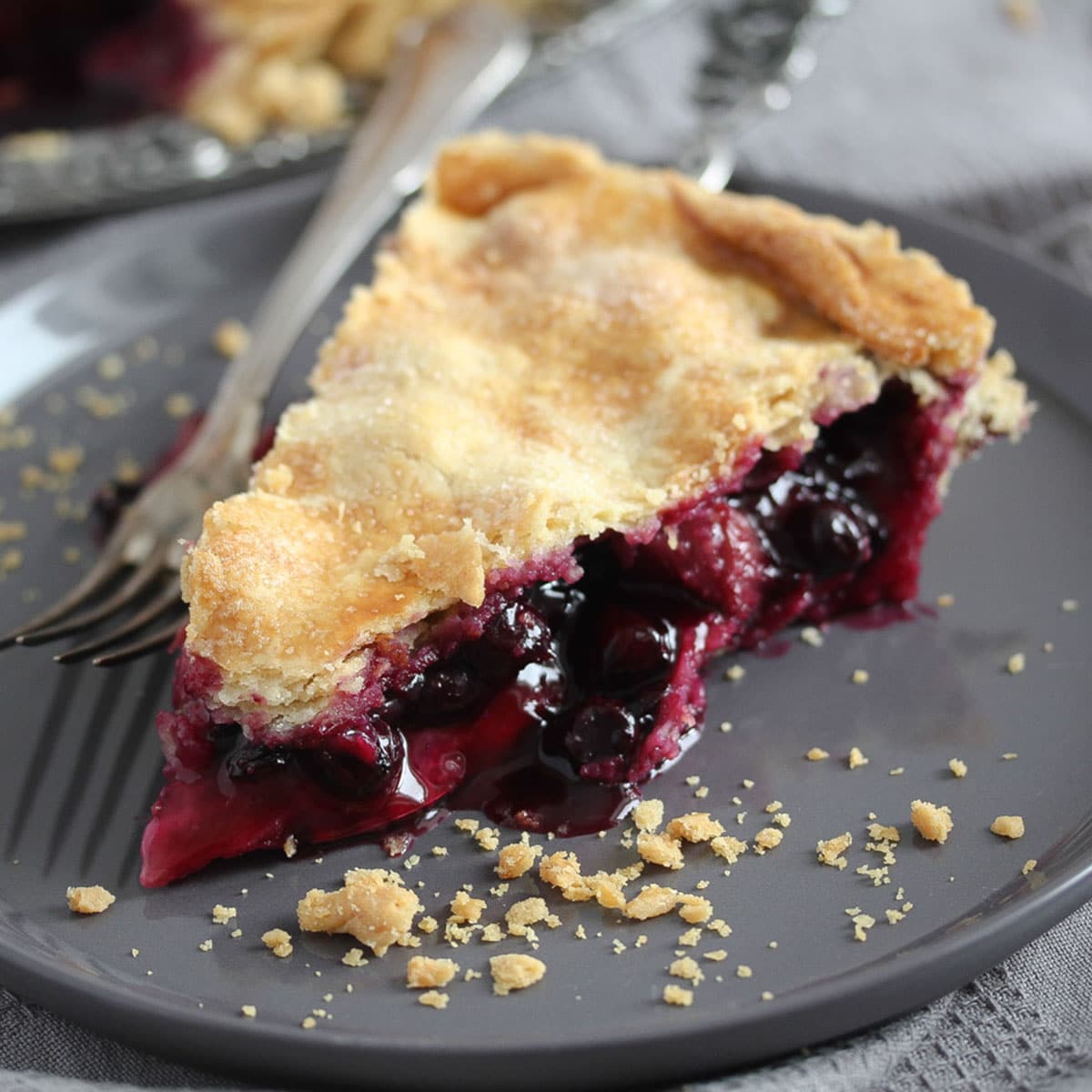 a slice of blueberry and rhubarb pie showing the juicy filling.