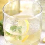 gin with elderflower and lemon slices