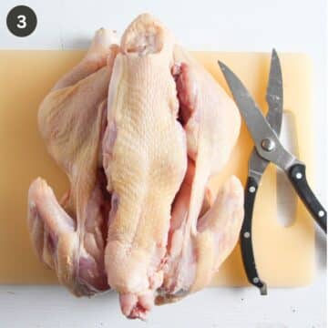 cutting the back bone from a whole chicken using meat scissors.
