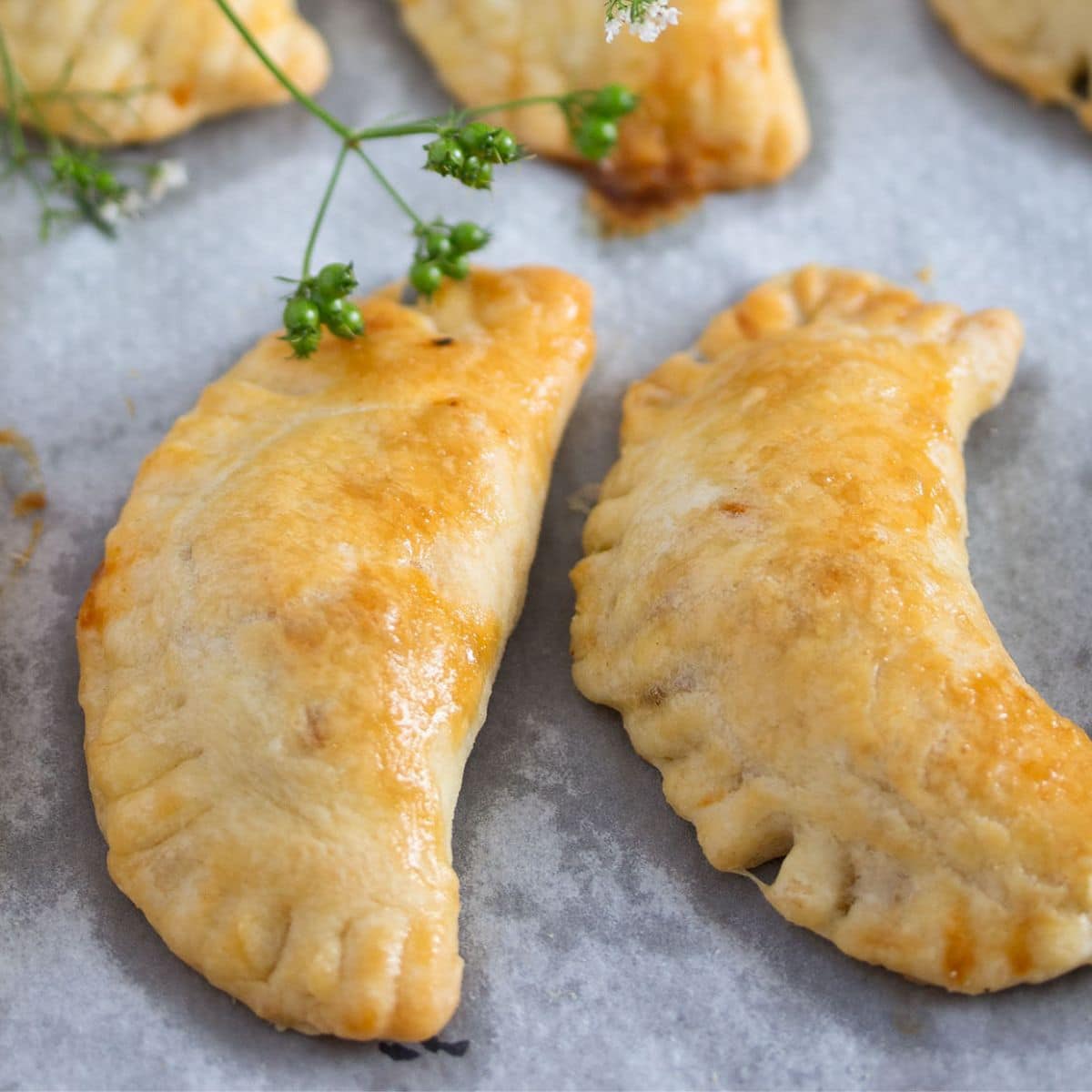 two spicy beef empanadas and a cilantro sprig with seeds.