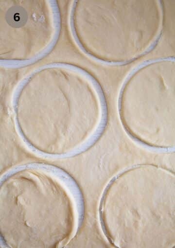 dough for empanadas cut into rounds.
