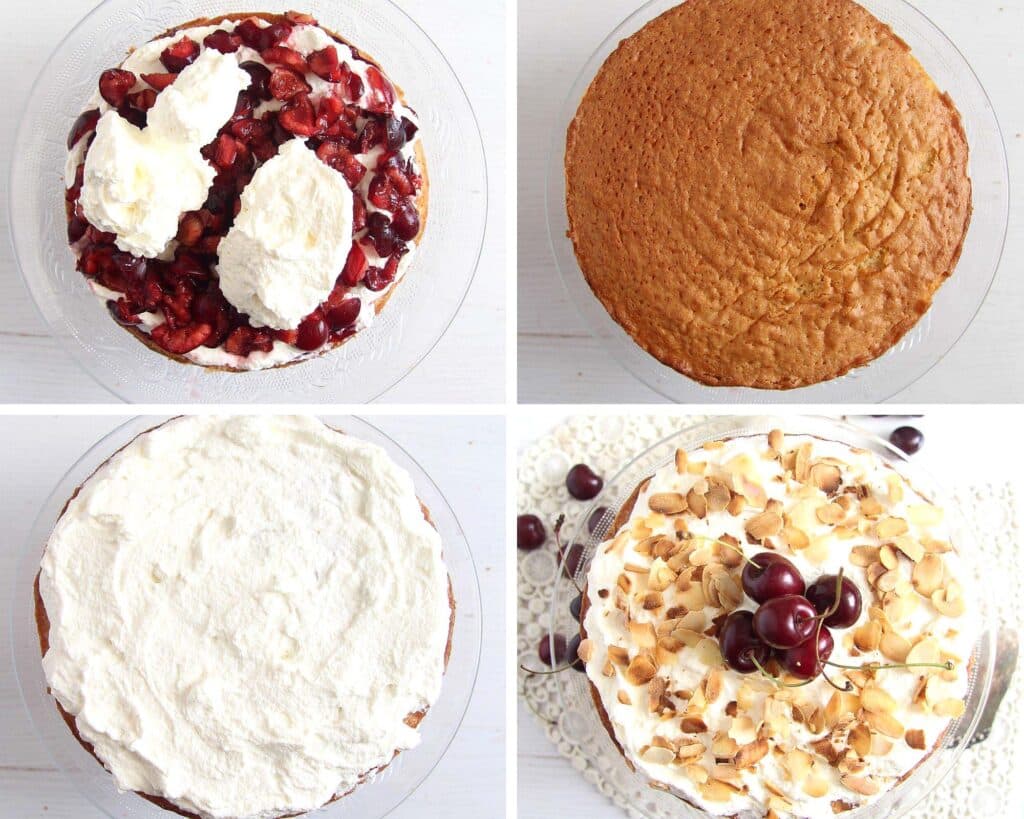 cover sponge with fruit and whipped cream