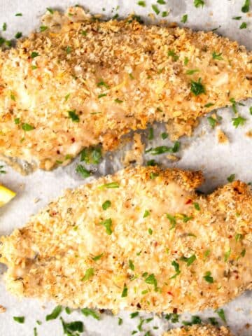 panko chicken without egg on a white baking sheet.