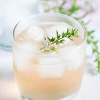 rhubarb ginger gin served on ice