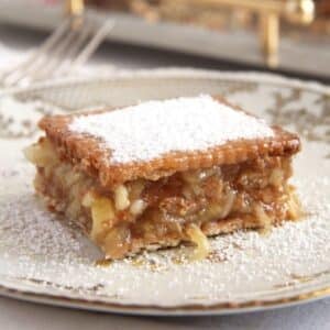 square piece of stewed apple dessert made with layers of apple and leibnitz cookies.