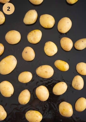 small boiled potatoes on a large black baking sheet.