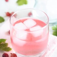 floating ice cubes in a glass of flavored gin