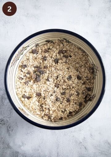 mixed rolled oats, seeds, chopped dates and raisins in a large bowl.