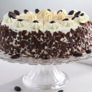 cappuccino cake decorated with chocolate shavings and whipped cream on a tall cake platter.