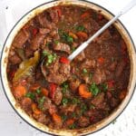 stewed turkey in a dutch oven with a soup laddle in it.