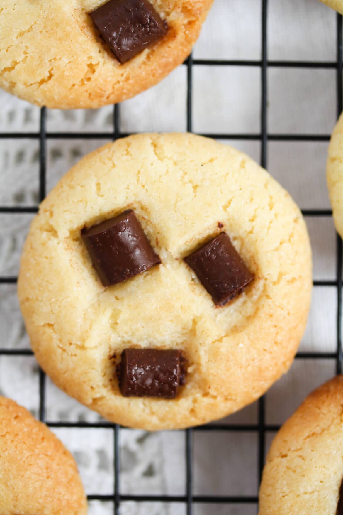 Sweetened Condensed Milk Cookies (with Chocolate Chips)