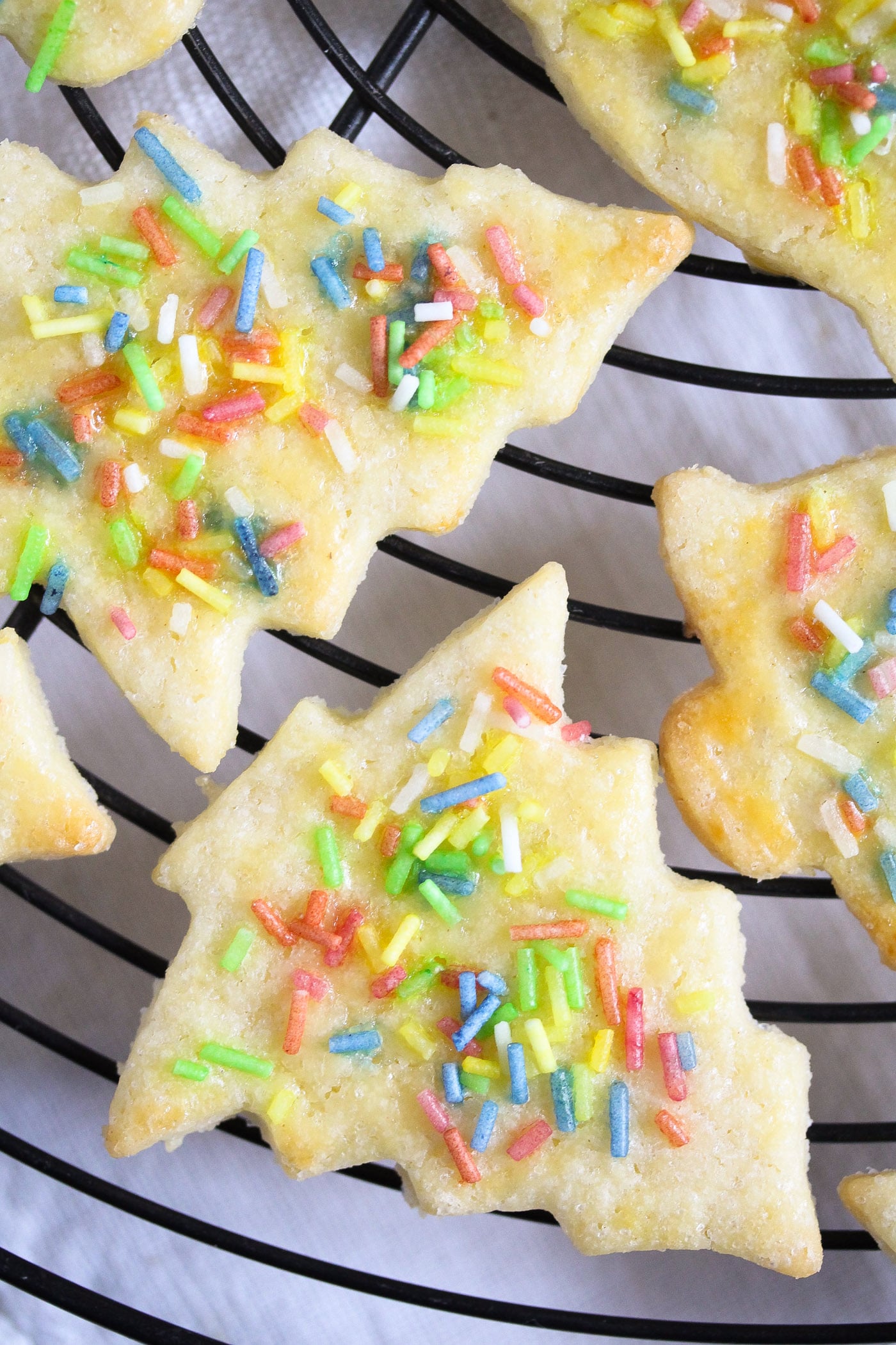 close up cookie christmas tree