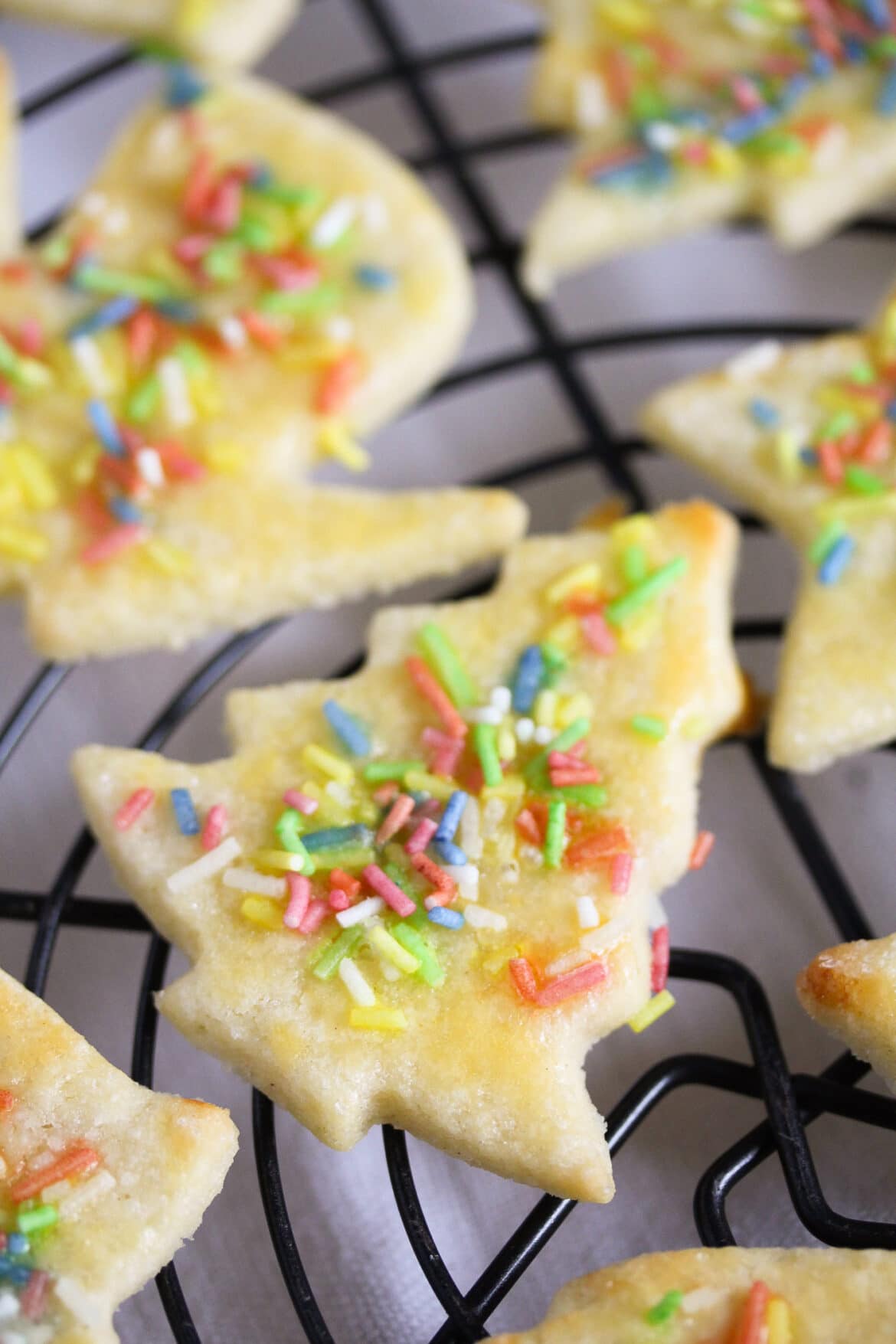 German Butter Cookies Christmas Butterplätzchen Recipe