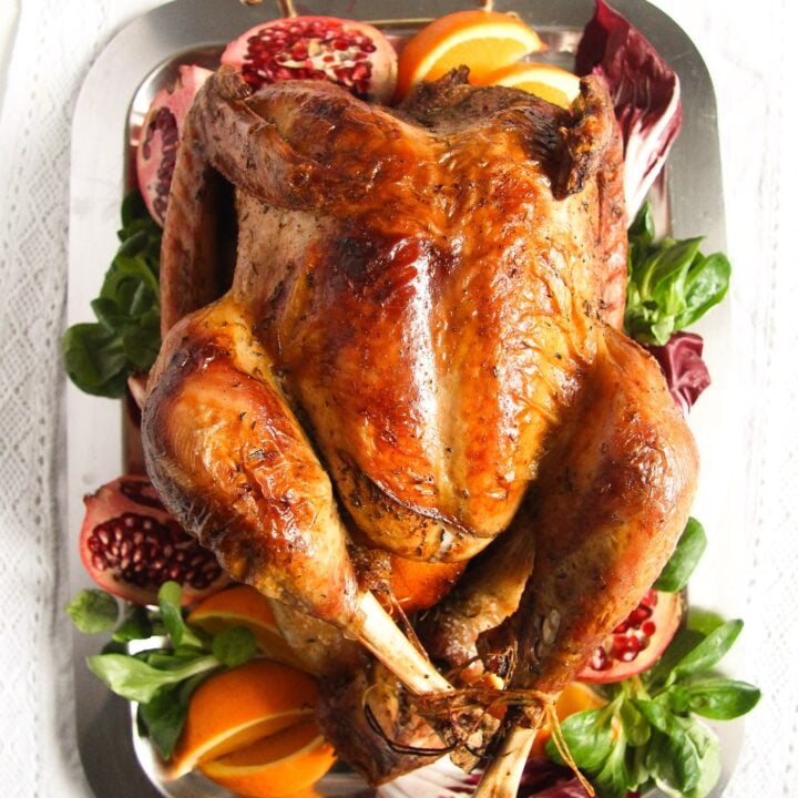 turkey served with oranges, pomegranate and salad leaves