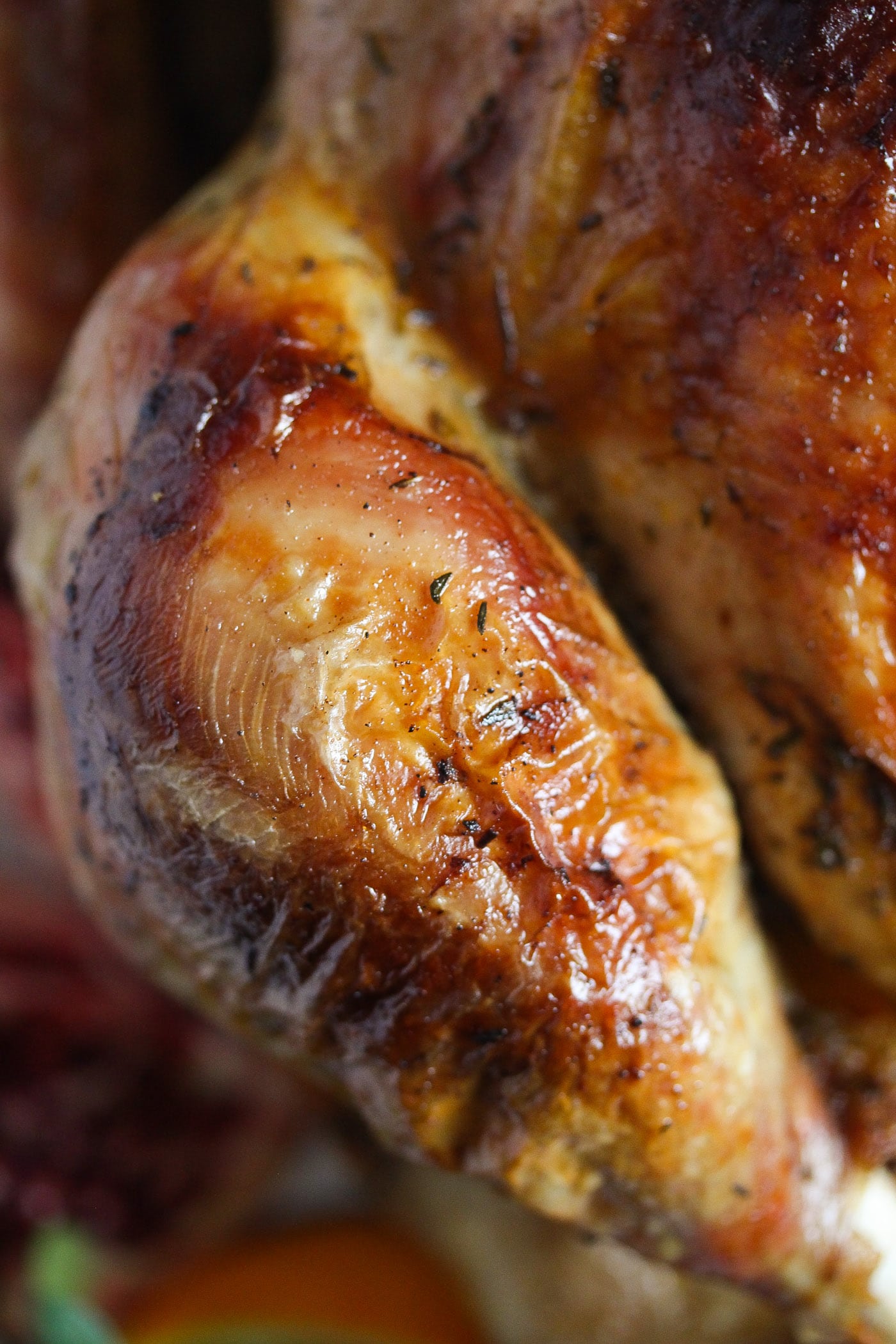 close up of a roasted turkey drumstick