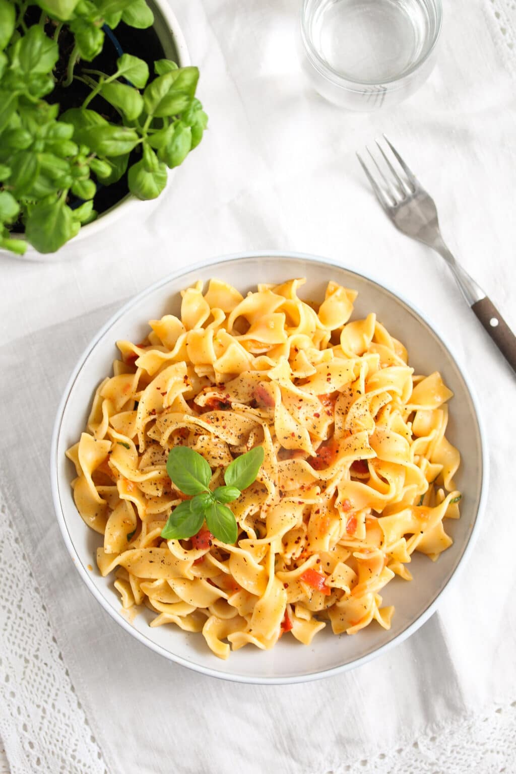 Coconut Milk Sauce for Pasta (with Tomatoes and Basil)
