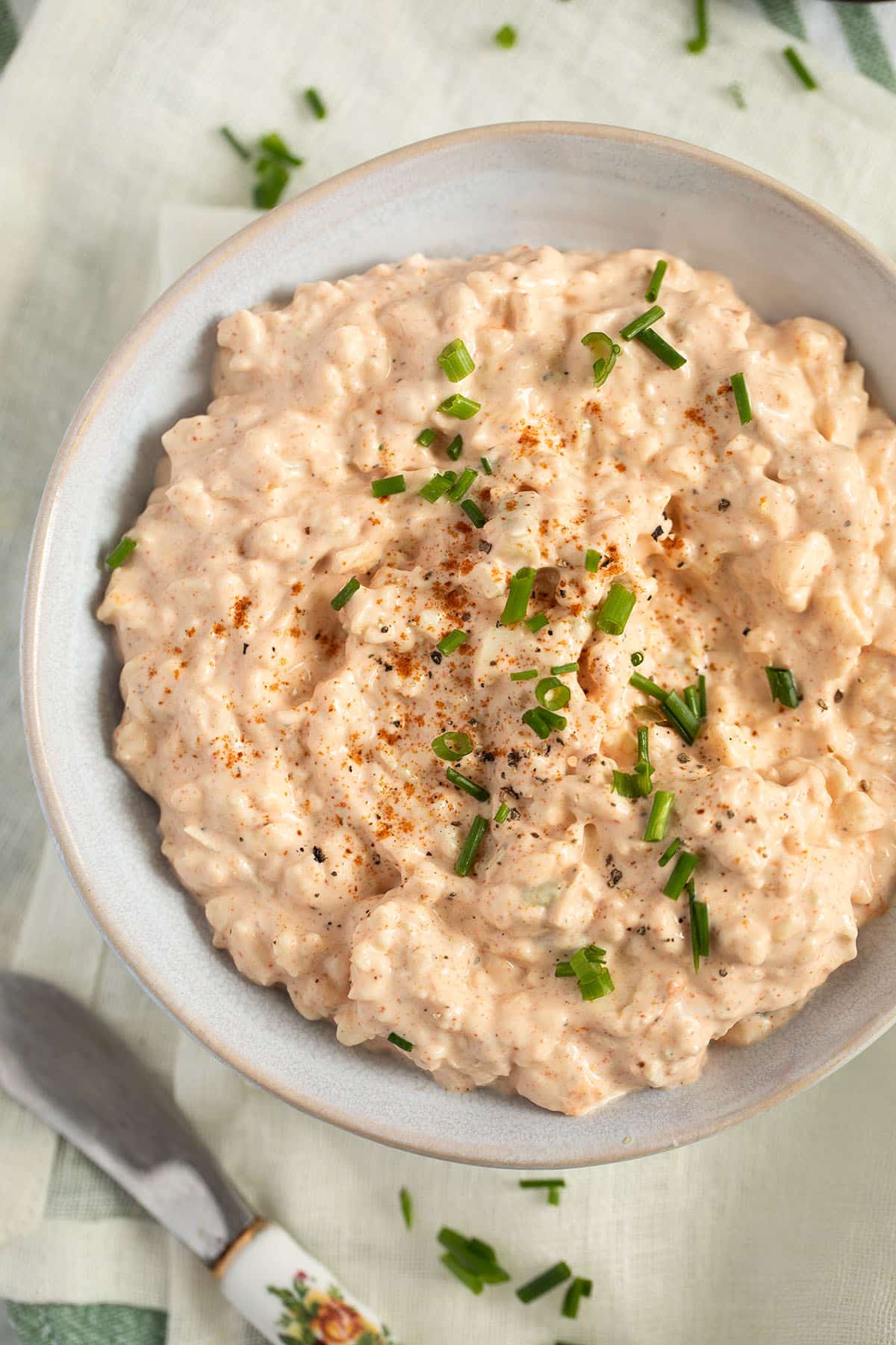 a bowl of german camembert dip sprinkled with chives.
