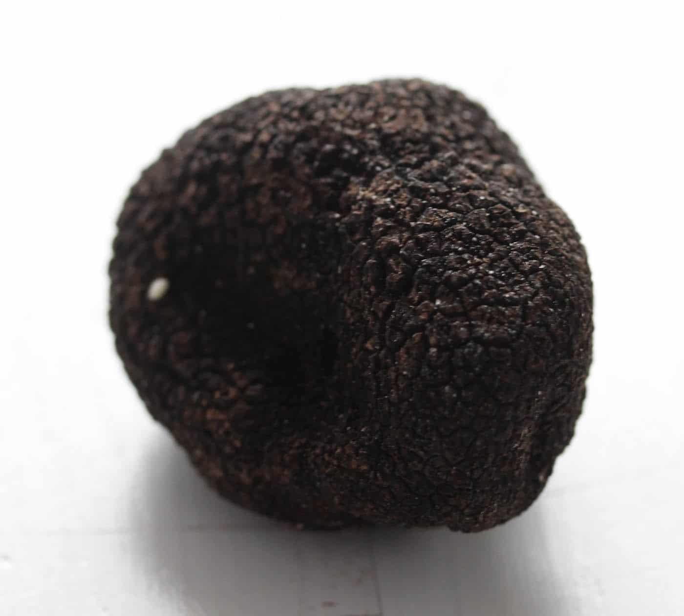 one small black truffle on a white table.