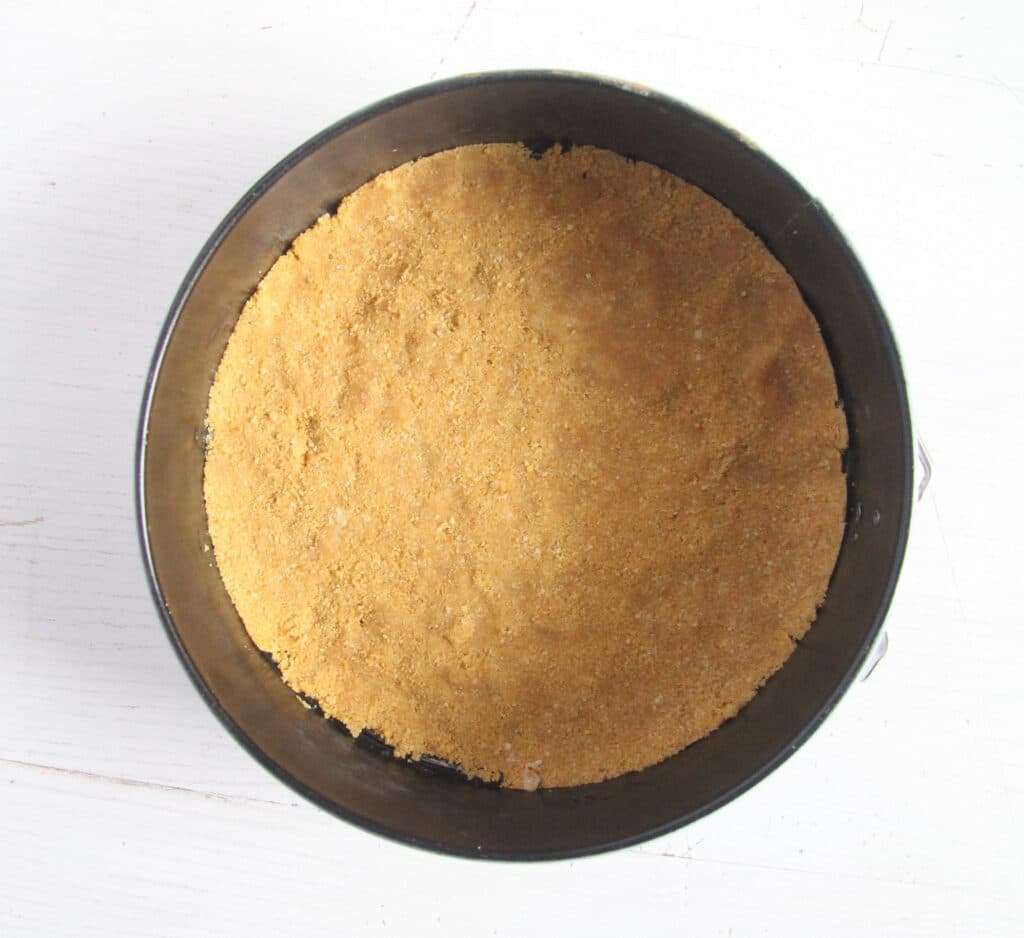 springform with graham cracker crust.