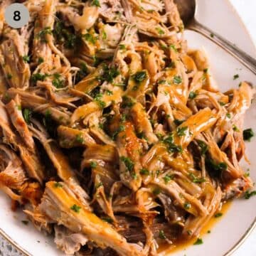 pulled pork drizzled with sauce on a plate.