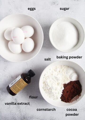bowls with ingredients for cake batter: eggs, sugar, vanilla, flour, baking powder, cocoa.