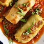 two large vegetarian stuffed cabbage rolls in tomato sauce.