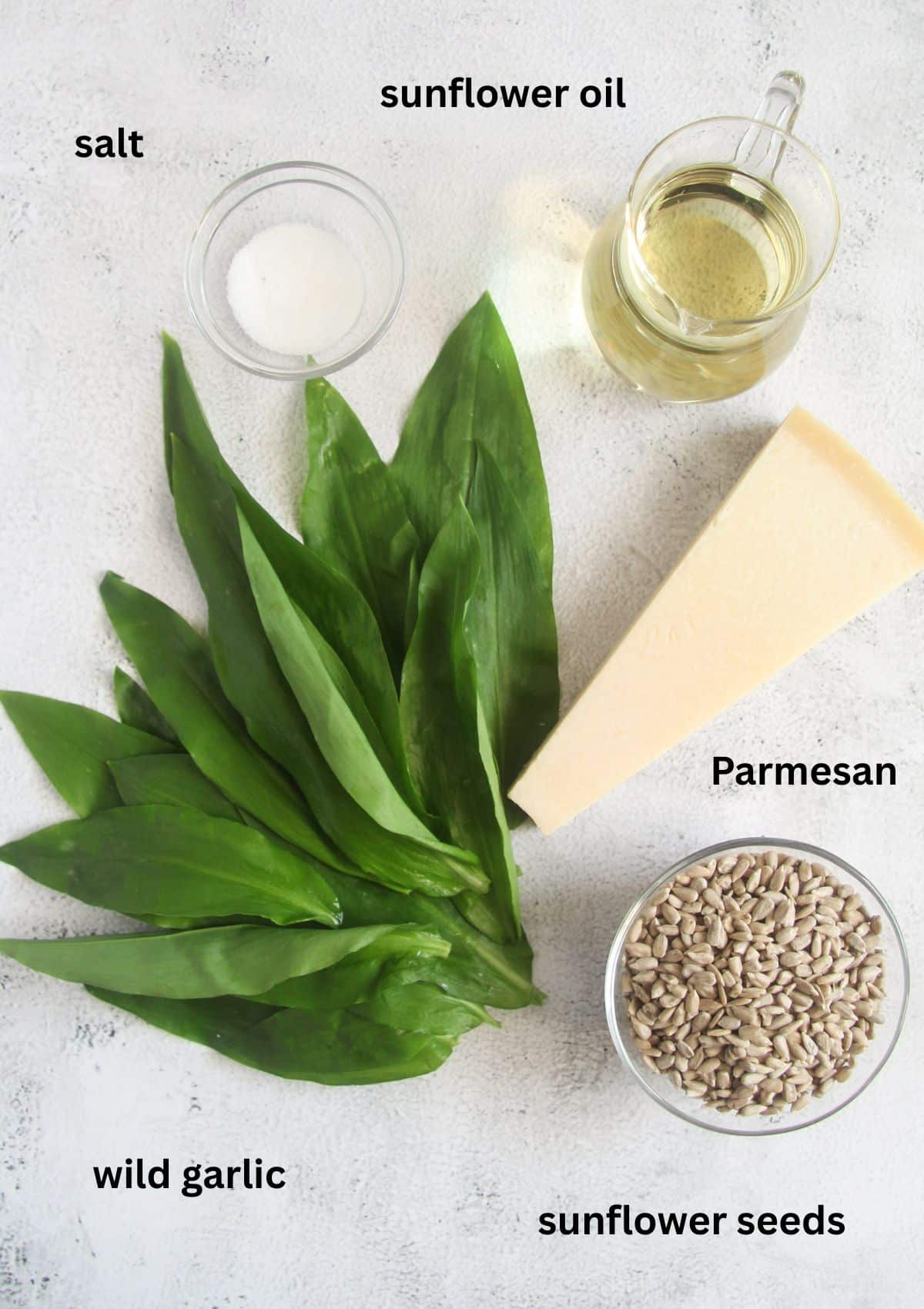labeled ingredients for making pesto with wild garlic, sunflower seeds and oil, parmesan and salt.