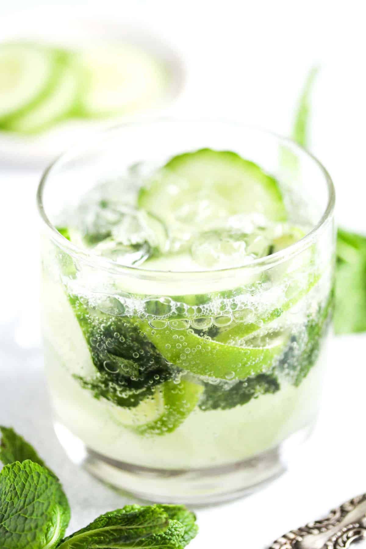 gin mint cocktail with cucumber slices in a glass.
