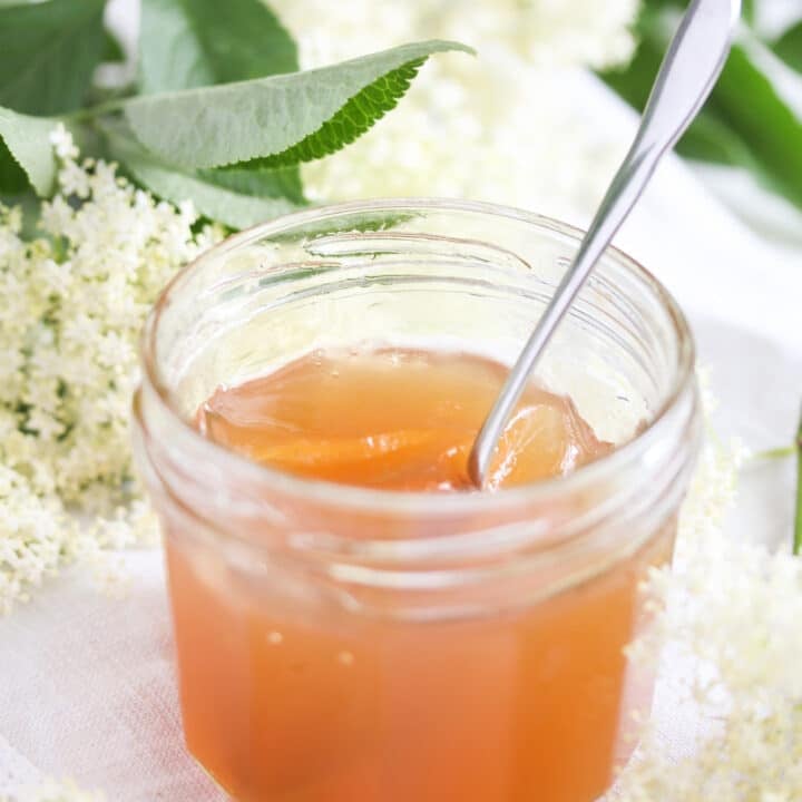 orange colored jelly in a jar with eldeflower and leaves behind it. spoon sticking in the jar.