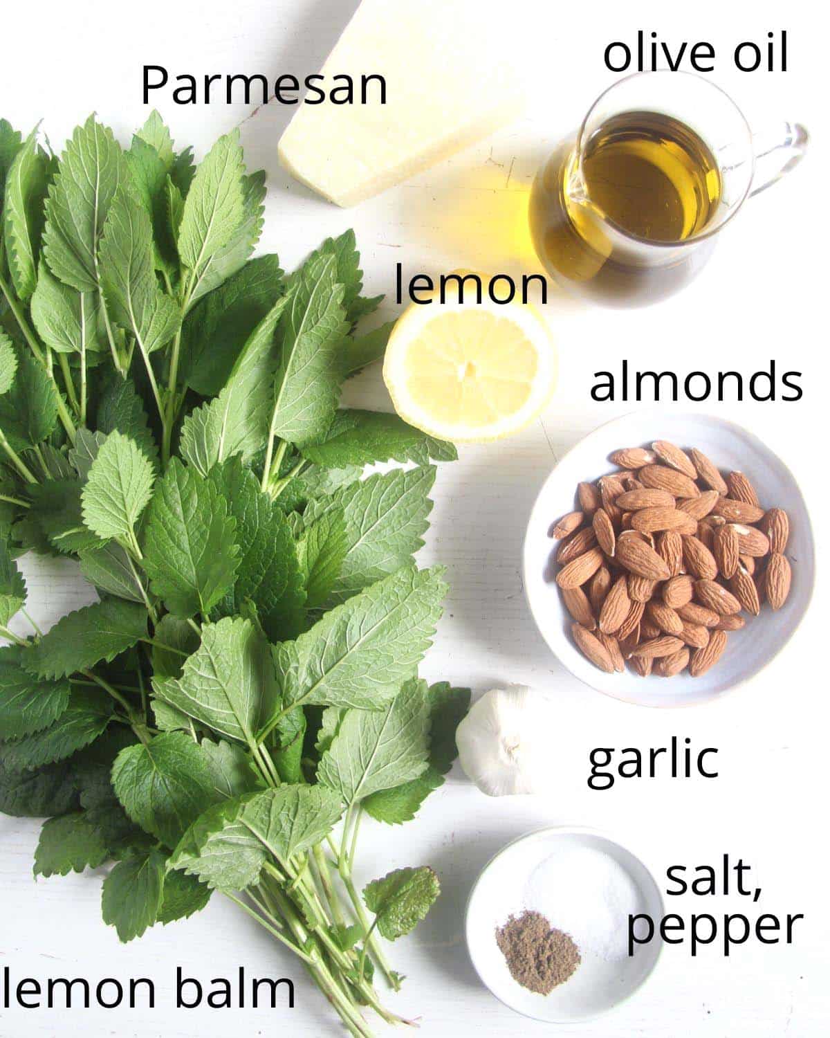 lemon balm, parmesan, oil, lemon, almonds, garlic, salt, pepper arranged on a white table.