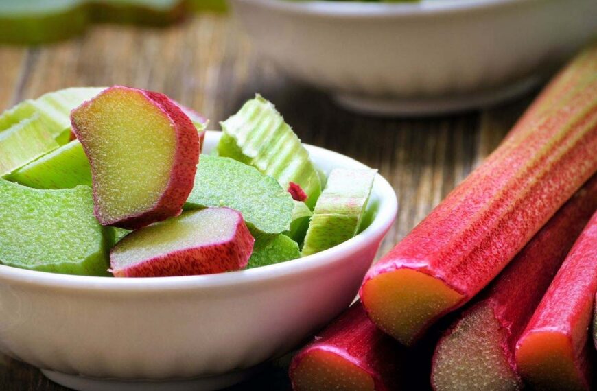 What to Do with Rhubarb? (Bake, Cook, Preserve)