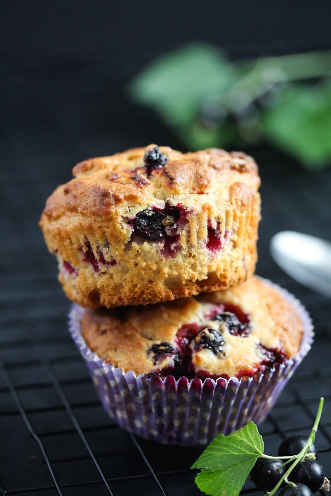 two stapled black currant muffins with leaves behind.