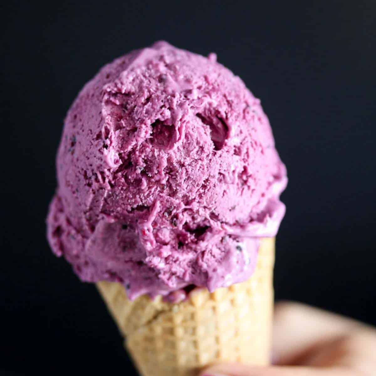 Black Currant Ice Cream (with Condensed Milk) - Where Is My Spoon