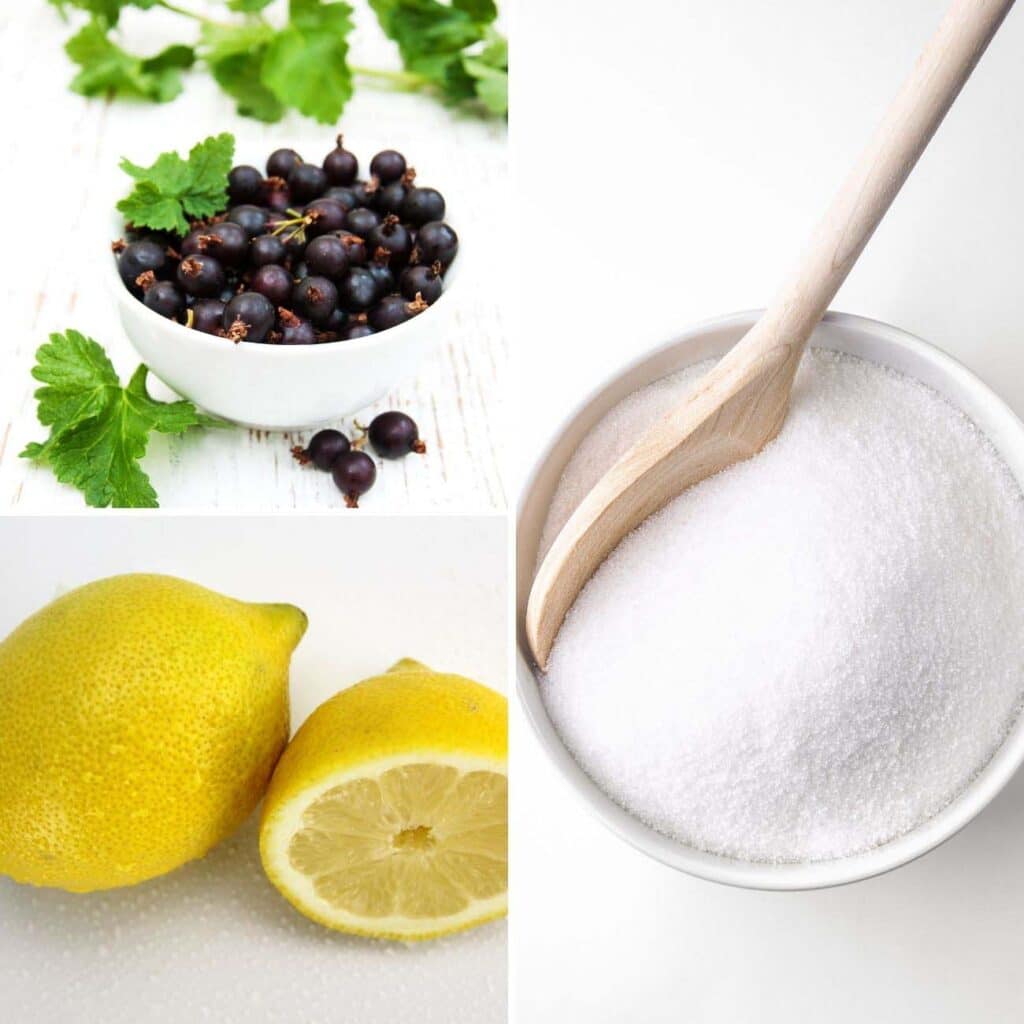 black currants in a bowl, a lemon and a bowl of sugar.