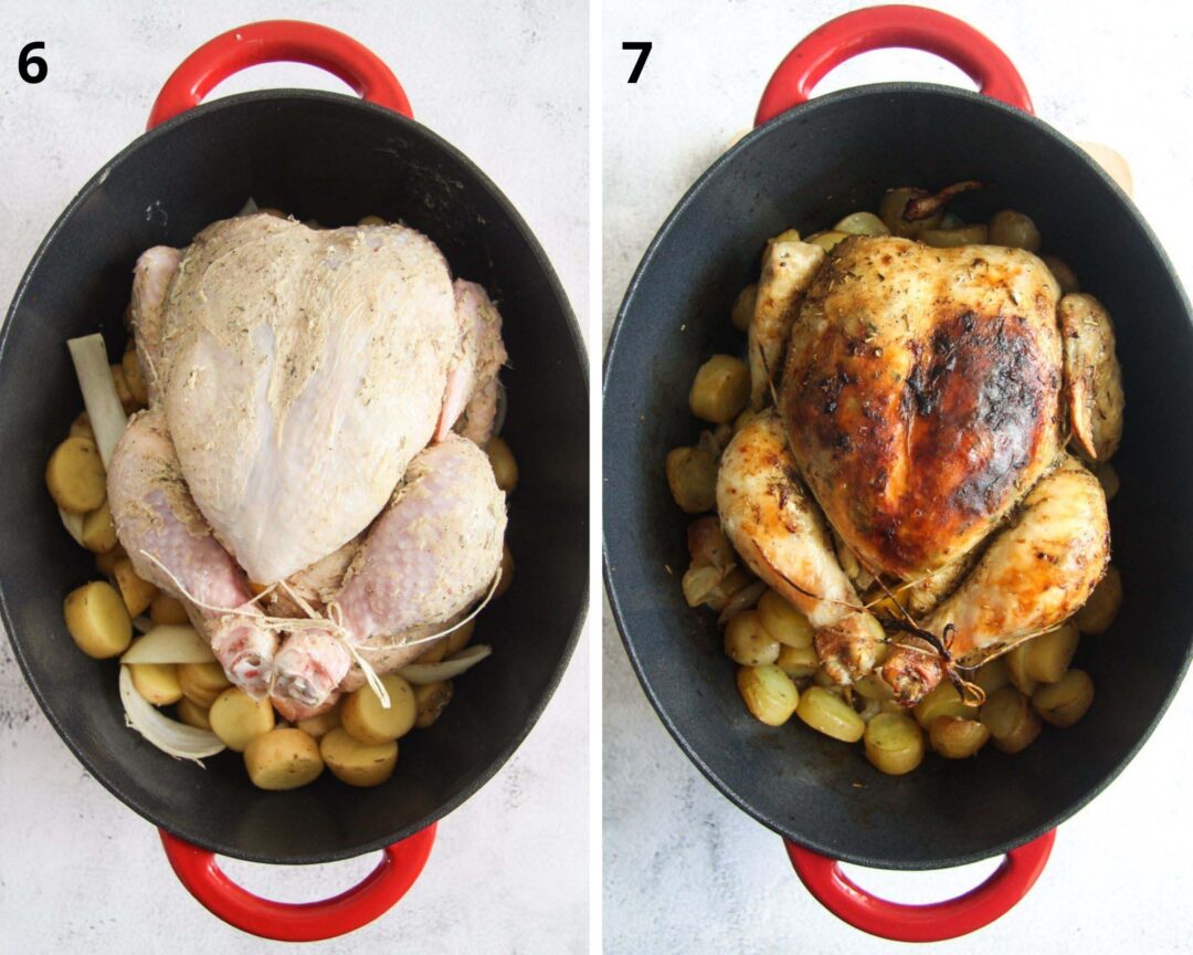 Dutch Oven Roasted Chicken - Where Is My Spoon