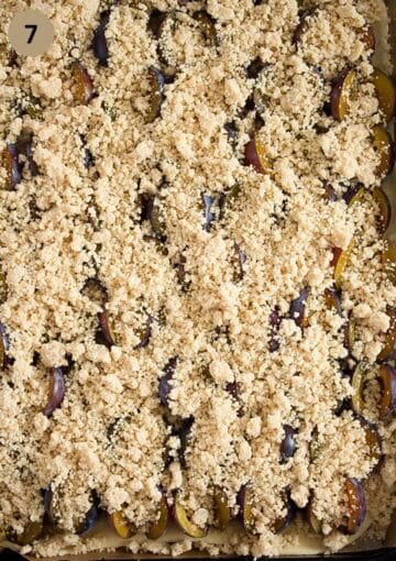 German plum cake dough with fresh plums and streusel on top,