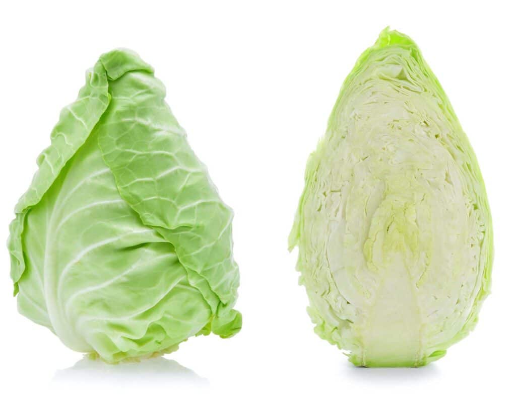 fresh pointed cabbage whole and halved on a white background.