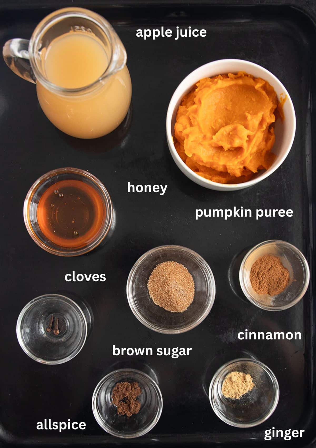 labeled ingredients for making pumpkin juice with pumpkin puree, apple jiuce, brown sugar, honey, and lots of spices.