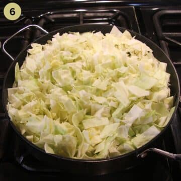 chopped cabbage in a large pan.