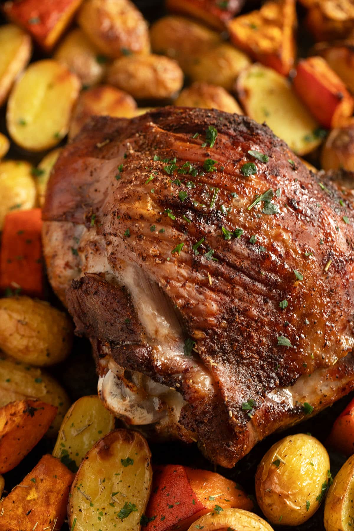 roasted turkey joint on potatoes and pumpkin pieces.