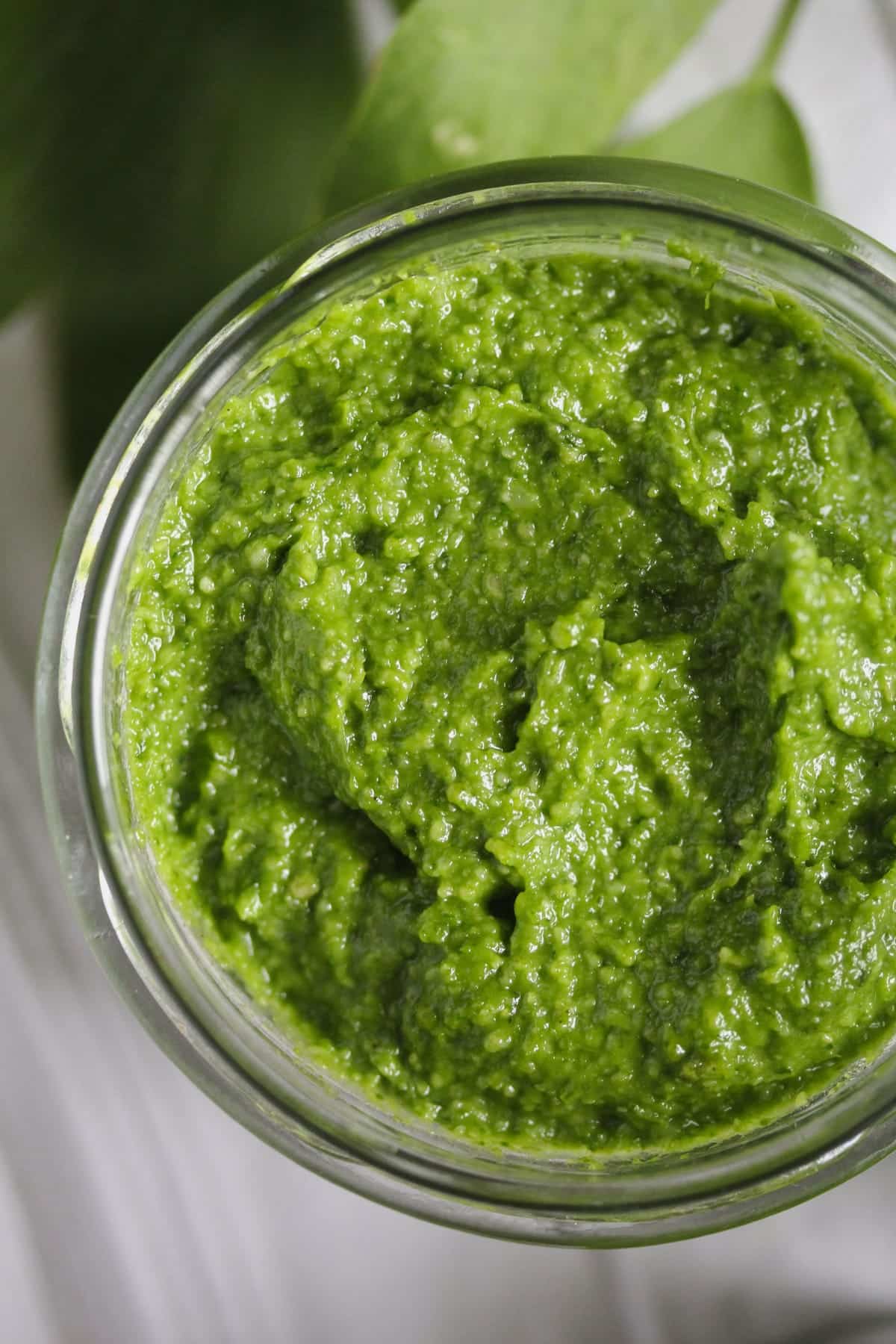 close up of a jar of pesto made with fresh lovage.