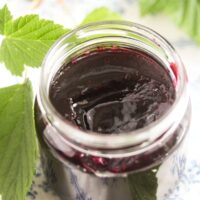 small jar of black currant jelly with many leaves around it.