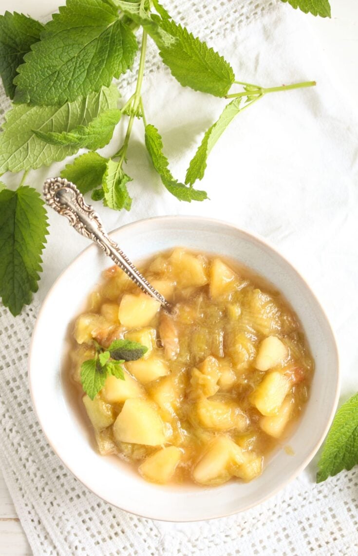 Stewed Rhubarb And Apples - Where Is My Spoon