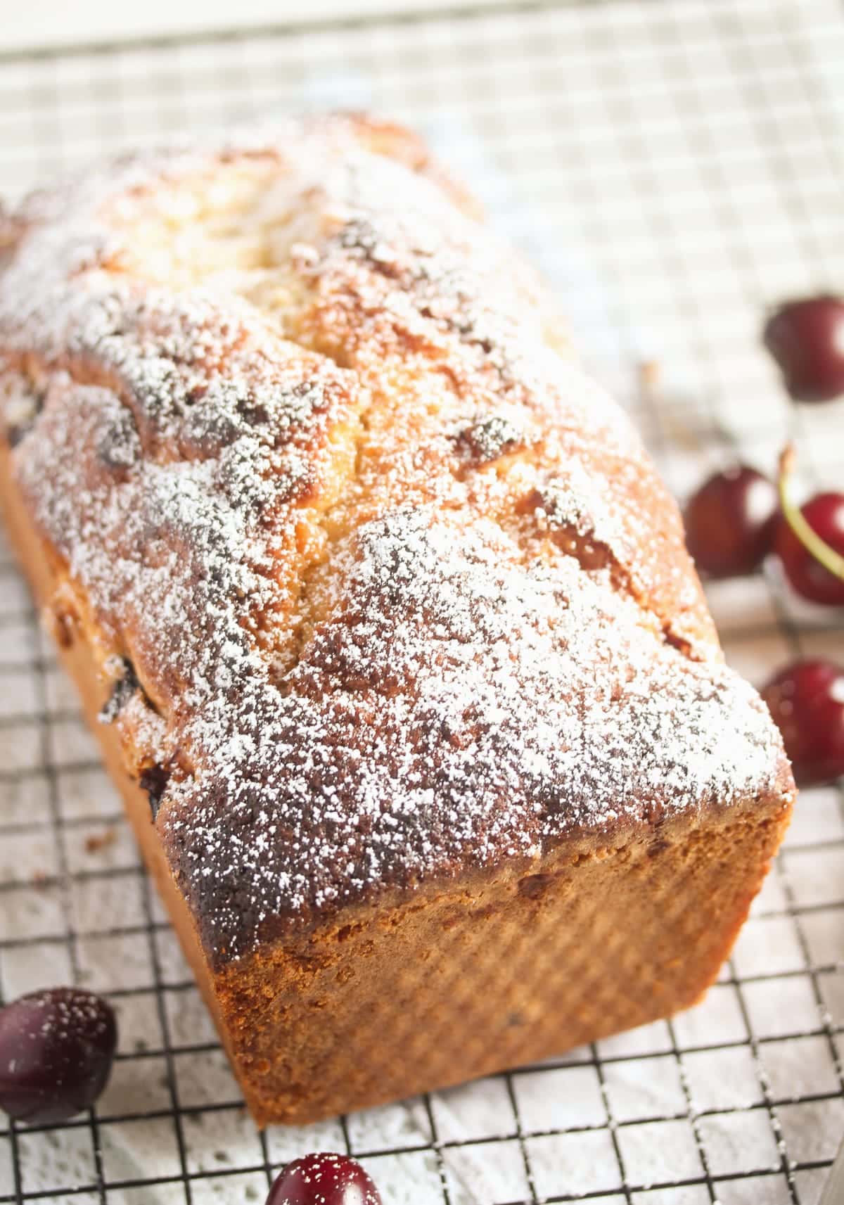 a whole bread with cherries sprinkled with icing sugar on a wire rack.
