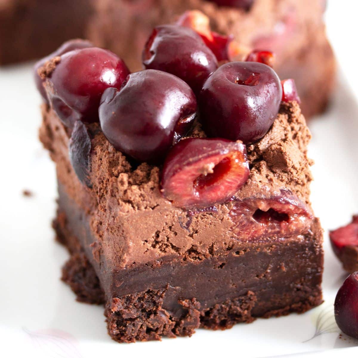 one cherry brownie with fresh cherries on top close up.