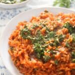 pinterest image of a plate full with rice with chimichurri.