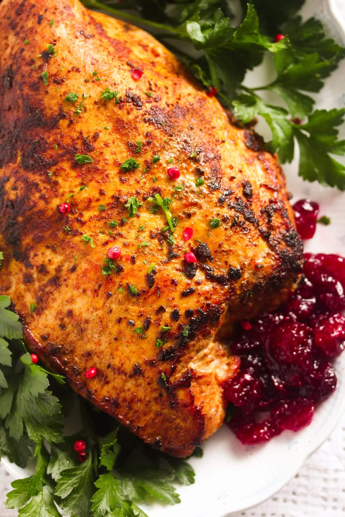 close up a large piece of golden roasted turkey served with cranberry sauce.