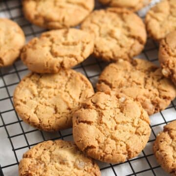 many ginger cookies with candied ginger on a rack.